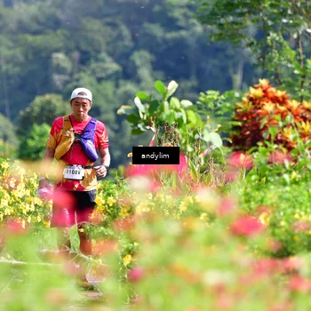 Runner Photo 5078948