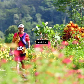 Runner Photo 5078963