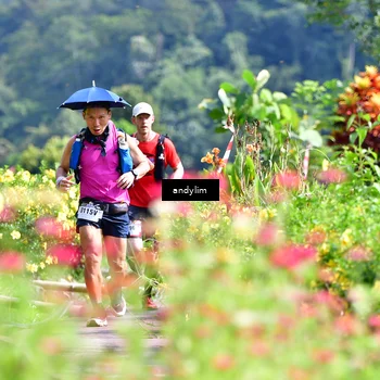 Runner Photo 5079044