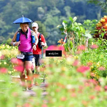 Runner Photo 5079053