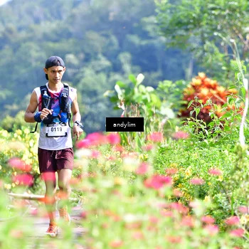 Runner Photo 5079173