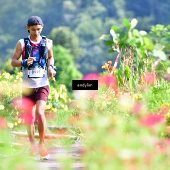 Runner Photo 5079185