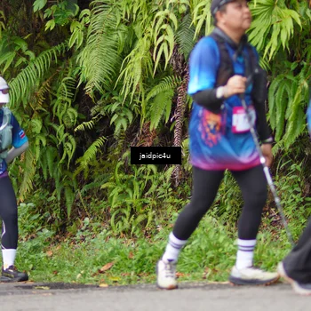 Runner Photo 5079188