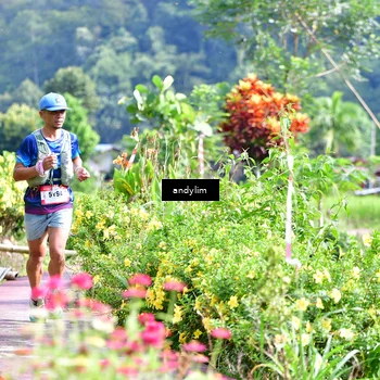 Runner Photo 5079264