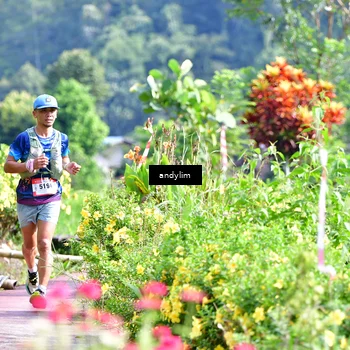 Runner Photo 5079266