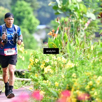 Runner Photo 5079268