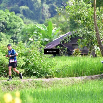 Runner Photo 5079273