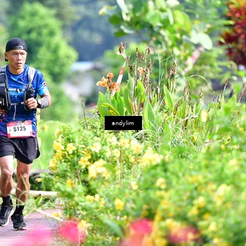 Runner Photo 5079279