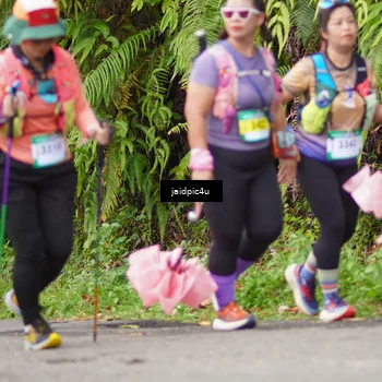 Runner Photo 5079291