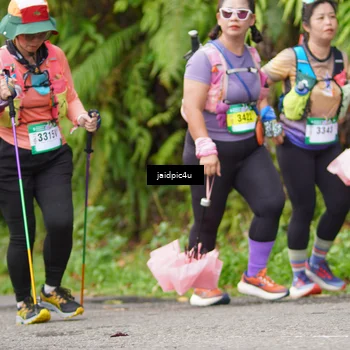Runner Photo 5079299