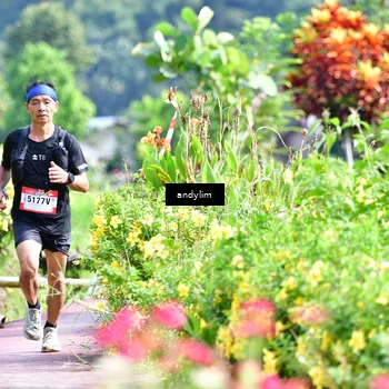 Runner Photo 5079304