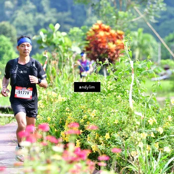 Runner Photo 5079305
