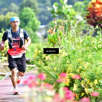 Runner Photo 5079312