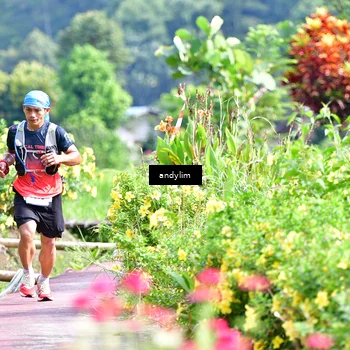 Runner Photo 5079326