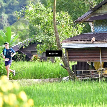 Runner Photo 5079350