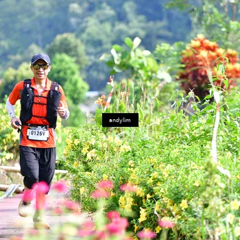 Runner Photo 5079365