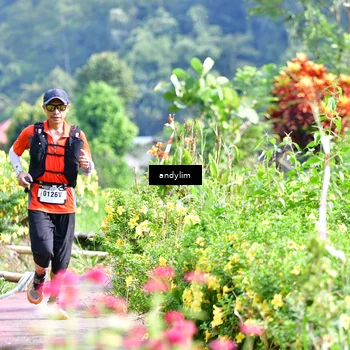 Runner Photo 5079371