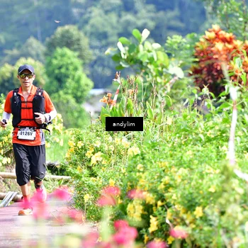Runner Photo 5079374
