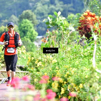 Runner Photo 5079378