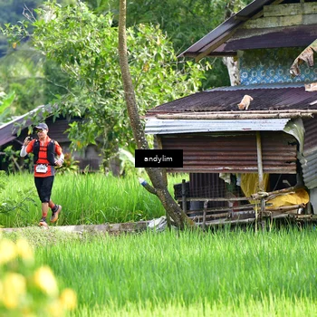 Runner Photo 5079380