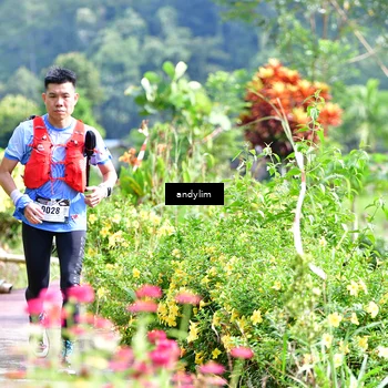Runner Photo 5079384
