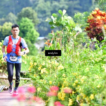 Runner Photo 5079393