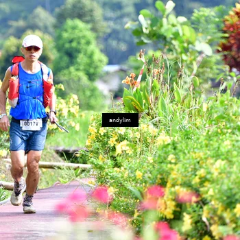 Runner Photo 5079398