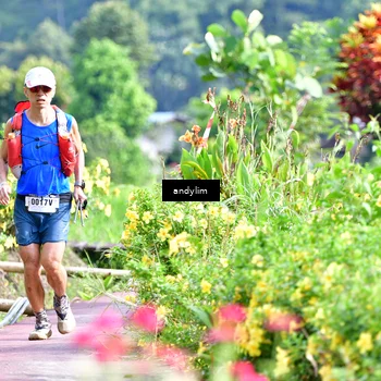 Runner Photo 5079405