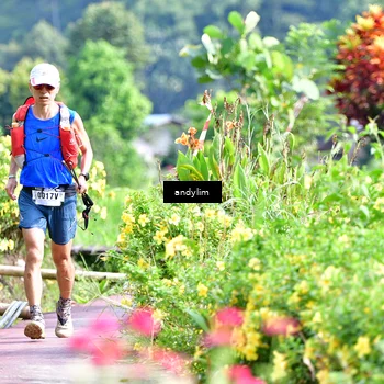 Runner Photo 5079428