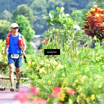 Runner Photo 5079448