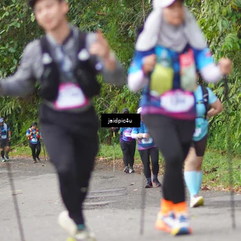 Runner Photo 5079560