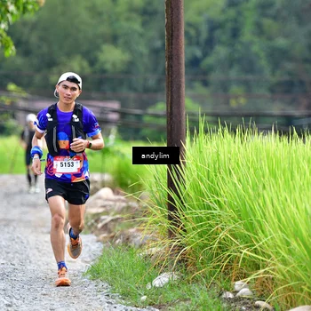 Runner Photo 5079661