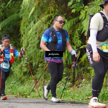 Runner Photo 5079678