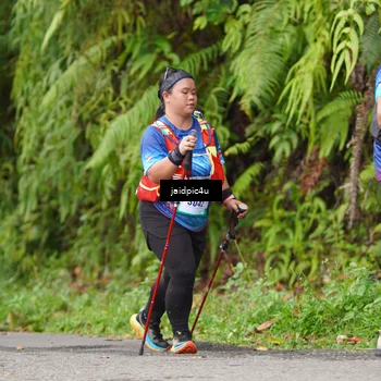 Runner Photo 5079679