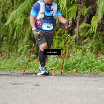 Runner Photo 5079729