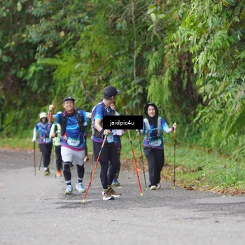 Runner Photo 5079868