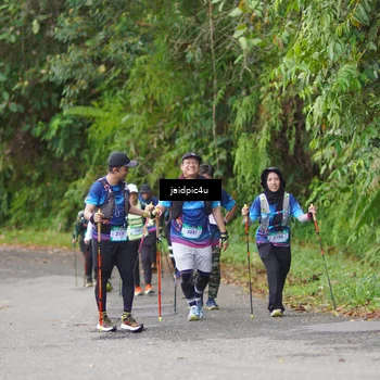 Runner Photo 5079869