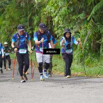 Runner Photo 5079921
