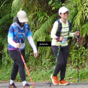 Runner Photo 5079951