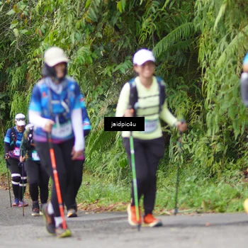 Runner Photo 5079955