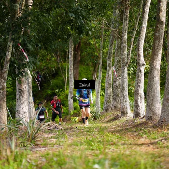 Runner Photo 5080540