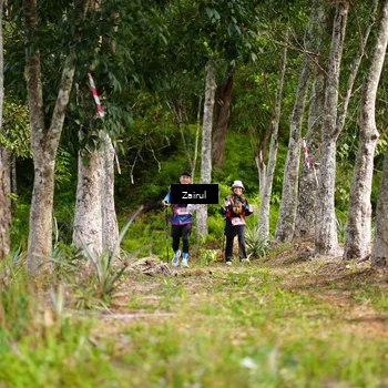 Runner Photo 5081461