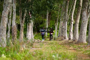 Runner Photo 5081485