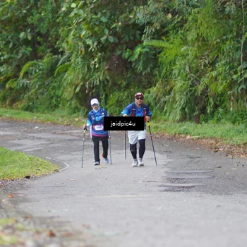 Runner Photo 5082379
