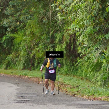 Runner Photo 5082707