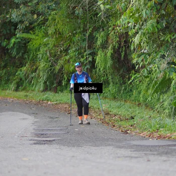 Runner Photo 5083089