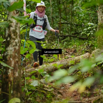 Runner Photo 5083786