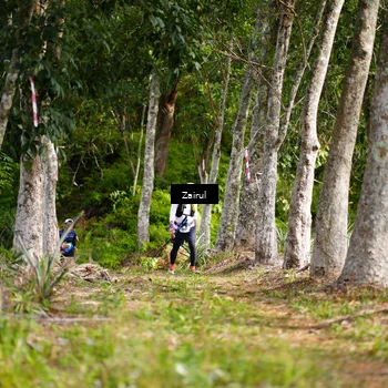 Runner Photo 5084225