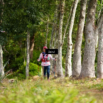 Runner Photo 5084296