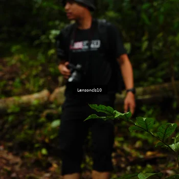 Runner Photo 5084573